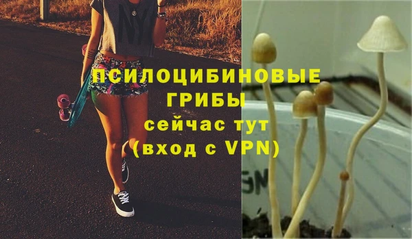 spice Алзамай
